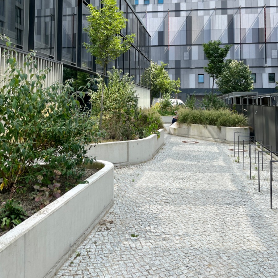 stadtwald