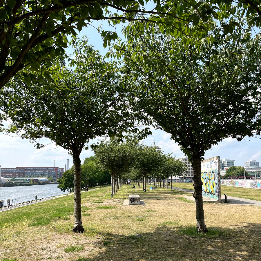 stadtwald