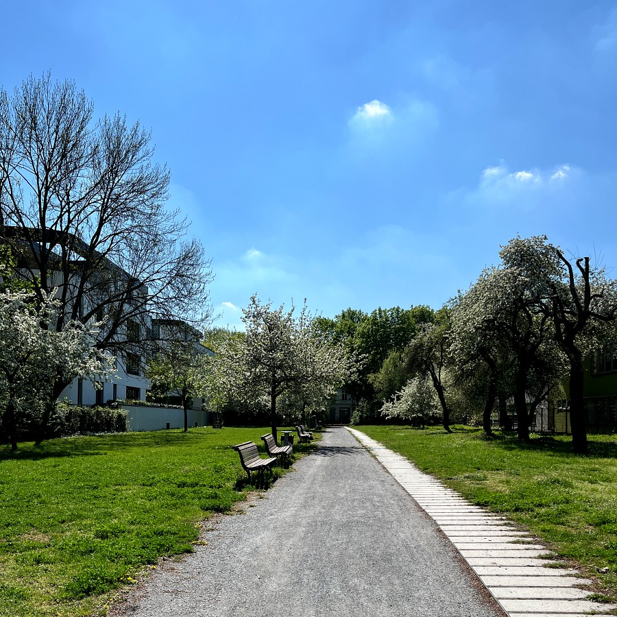 stadtwald